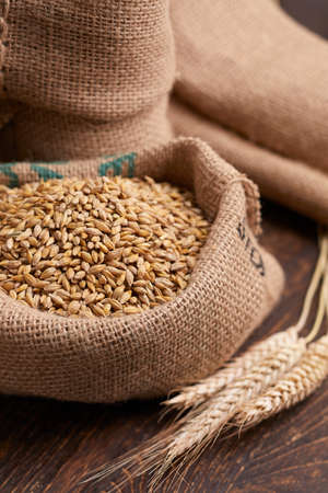 barley grain on the wooden backgroundの写真素材