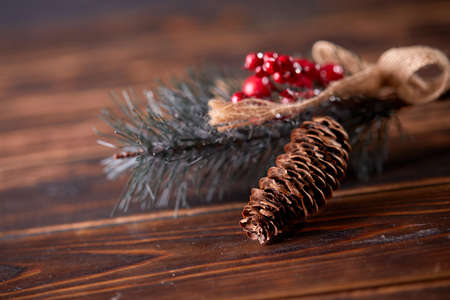 pine branch with berries and conesの写真素材