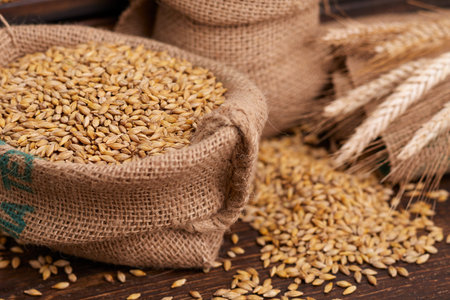 barley grain on the wooden backgroundの写真素材
