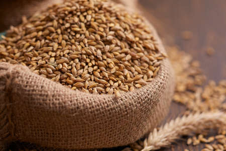 barley grain on the wooden backgroundの写真素材