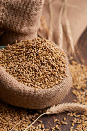 barley grain on the wooden backgroundの写真素材