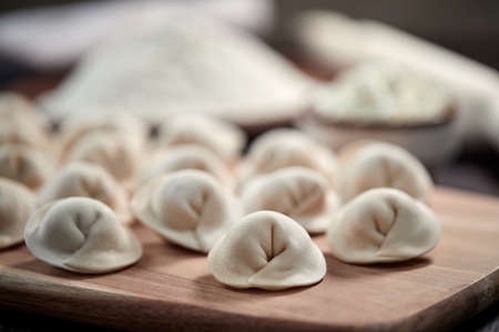 raw dumplings with cottage cheeseの写真素材