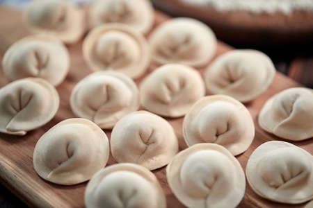 raw dumplings with cottage cheeseの写真素材