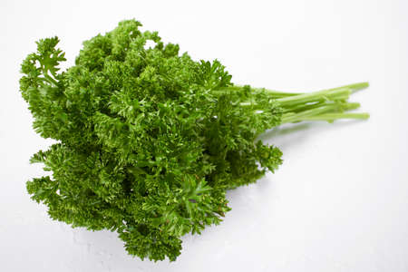fresh parsley on the white backgroundの写真素材