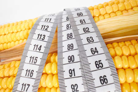 fresh corn with measuring tapeの写真素材