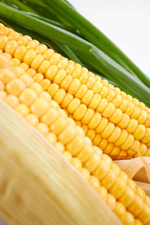 fresh corn on the white backgroundの写真素材