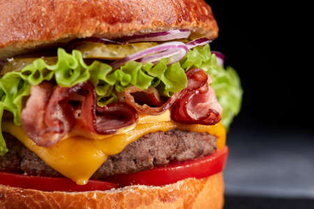 tasty burger with beef cutlet and vegetablesの写真素材