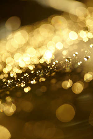 golden blur background, christmas backgroundの写真素材