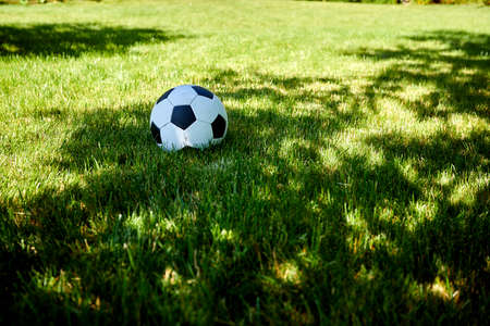 soccer ball on the green fieldの写真素材