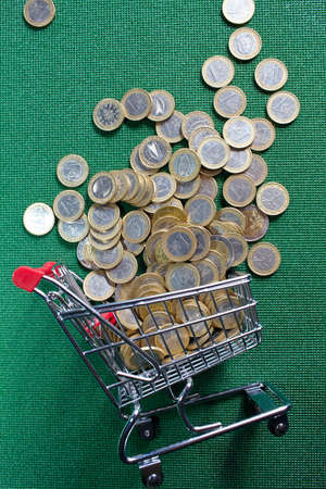 coins in the shopping basketの写真素材
