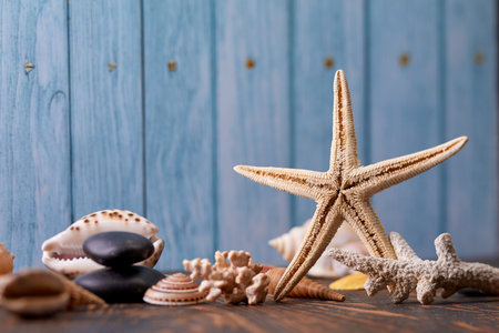 shells and sea star on wooden backgrounの写真素材