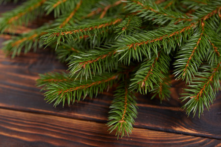 Christmas tree branches on the wooden background
