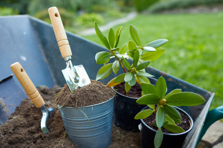 flower pot and set gardening toolsの写真素材