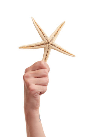 sea star in handの写真素材