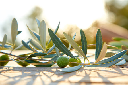 olive oil and green olive on the wooden backgroundの写真素材