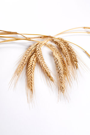 Ears of rye, wheat on tableの写真素材