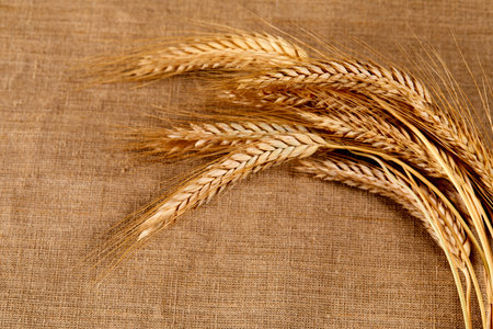 Ears of rye, wheat on tableの写真素材