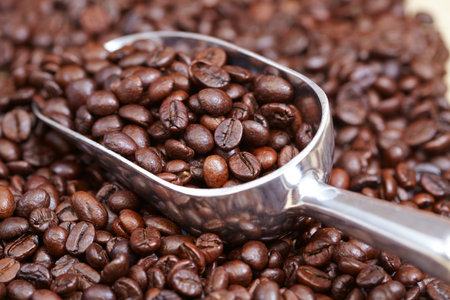 coffee beans in the spoonの写真素材