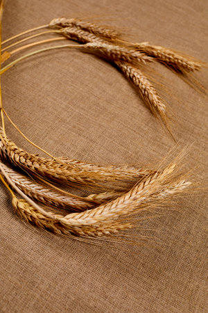 Ears of rye, wheat on tableの写真素材