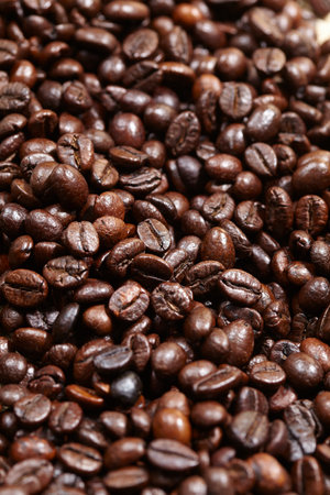 coffee beans on the tableの写真素材