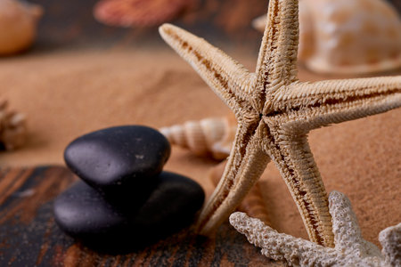 Summer time concept Flat lay composition with beautiful starfish and sea shellsの写真素材