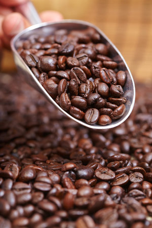 coffee beans in the spoonの写真素材
