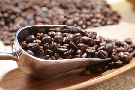 coffee beans in the spoonの写真素材