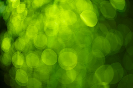 green blur background, Christmas textureの写真素材