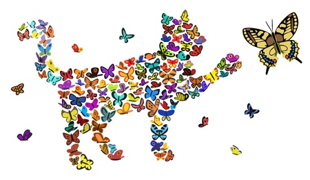 butterfliesのイラスト素材