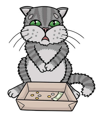 Sad gray cat begging. He collects money in a box.のイラスト素材