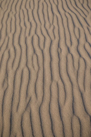 Sand dunes in the desert Gobiの写真素材