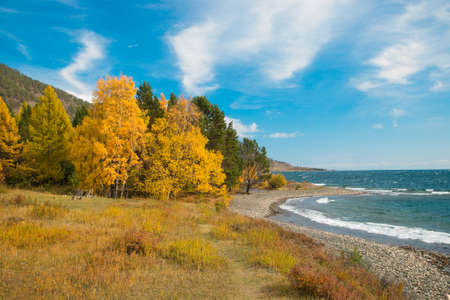 Seashore and autumn trees in Siberiaの写真素材