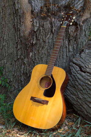 Accoustic six string guitar resting against a tree in the shade