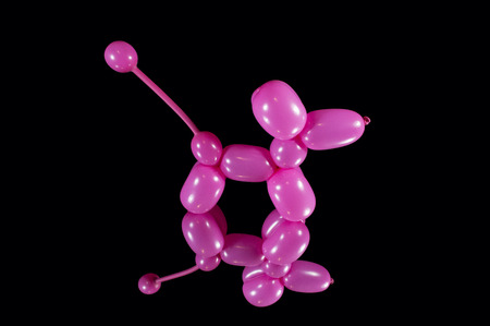 Pink balloon dog with reflection on black glass mirrorの写真素材