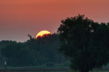 Peaceful sunrise in a remote wildlife refuge with the sun just peeking over the trees on the horizon in the warm light of golden hour.の写真素材