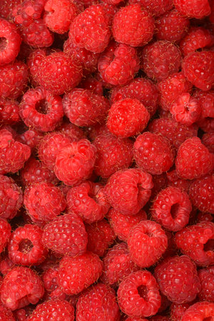 Fresh raspberries background closeup photoの写真素材