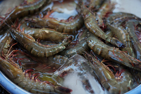 Prawn or River shrimp common for sale in Nha Trang fresh market.の写真素材