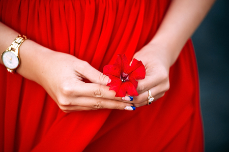 Red flower in female hand. Woman with flowerの写真素材