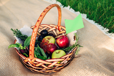 Wicker of apples in greenery on a sackcloth covered upon green grassの写真素材