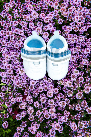 Pair of kids white footwear on a bush of small purple flowers. Top view. Copy space for textの写真素材