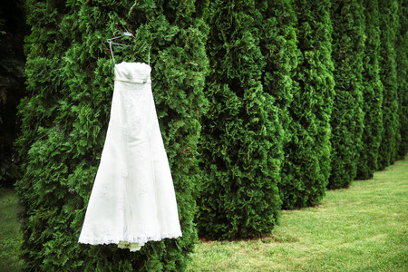 Long white wedding dress hanging lonely on the treeの写真素材