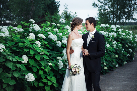Groom and a bride cuddling romantically, white flowers bushes behind themの写真素材