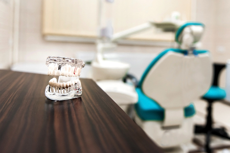 Stomatology and health care concept. Jaw and teeth layoutの写真素材