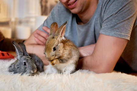 Top view on a small boy lying cozily on a warm carpet accompanied by two gray rabbits. Children and animalsの写真素材