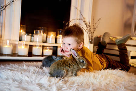 Top view on a small boy lying cozily on a warm carpet accompanied by two gray rabbits. Children and animalsの写真素材