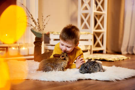 Top view on a small boy lying cozily on a warm carpet accompanied by two gray rabbits. Children and animalsの写真素材