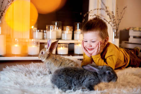 Top view on a small boy lying cozily on a warm carpet accompanied by two gray rabbits. Children and animalsの写真素材