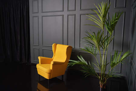 Beautiful living room with yellow armchair near palm tree.の写真素材