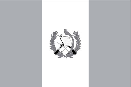 An Illustrated grayscale flag of the country of Guatemalaのイラスト素材