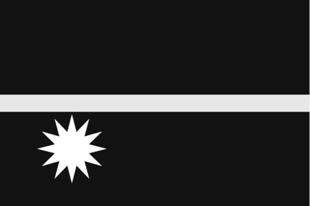 An Illustrated grayscale flag of the country of Nauruのイラスト素材